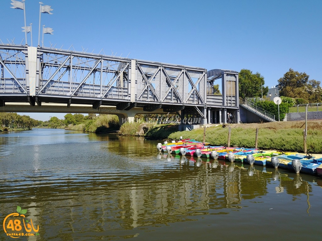 al3oja nahre (12).jpg